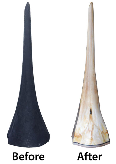 Marlin bill mount before and after