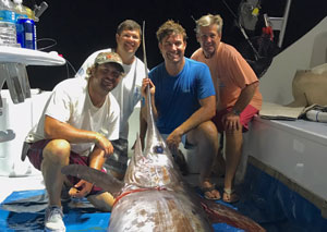 fresh caught marlin