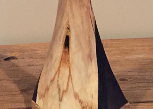 billfish mount closeup